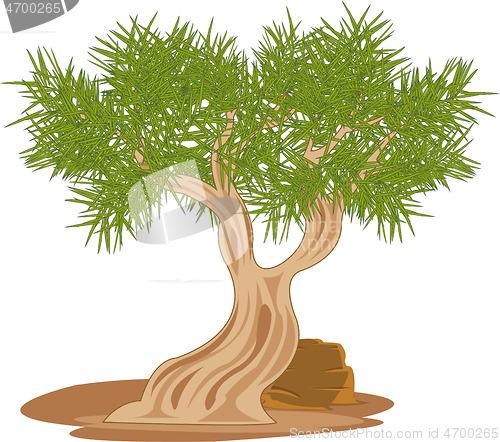 Image of Vector illustration tree saxaul rising in desert