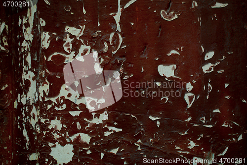 Image of Grungy damaged peeling paint on a wooden door