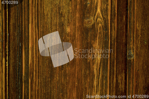 Image of Full frame background texture of natural wood