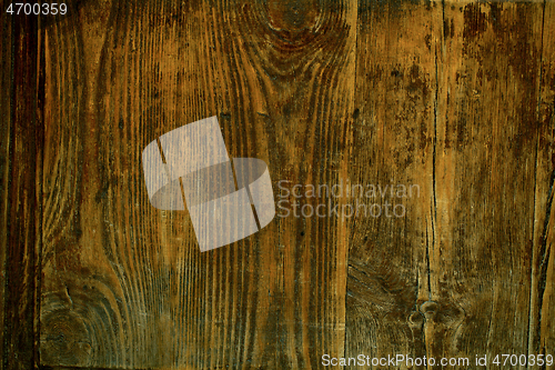 Image of Full frame background texture of natural wood