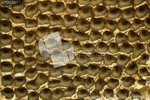 Image of Decorative plaster on a wall with honeycomb effect