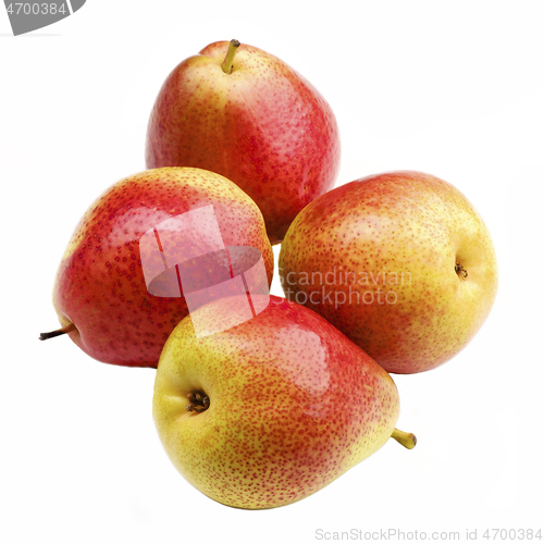 Image of Ripe Forelle Pears 