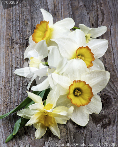 Image of Spring White Daffodils