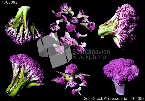 Image of Collection of Perfect Raw Purple Cauliflowers