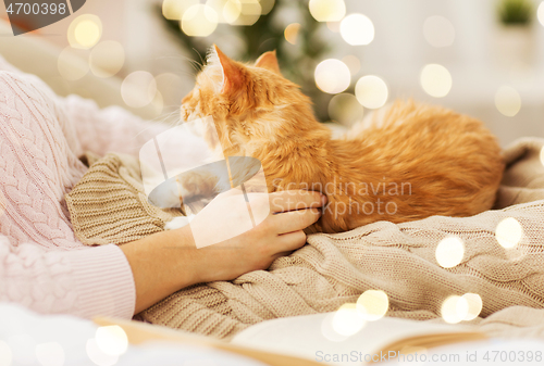 Image of close up of owner with red cat in bed at home