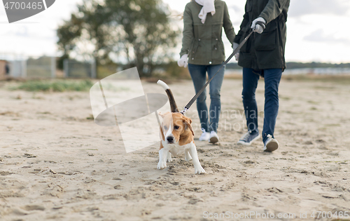 Image of couple with happy beagle dog on autumn beach