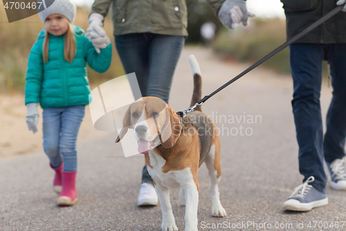 Image of family walking with dog in autumn