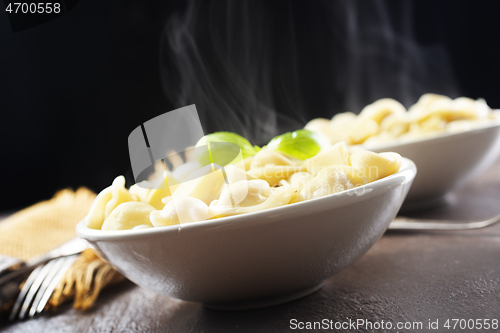 Image of The Russian Pelmeni