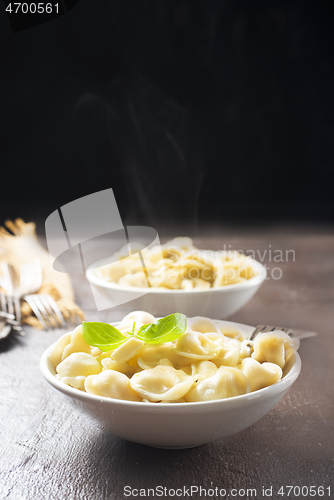 Image of The Russian Pelmeni