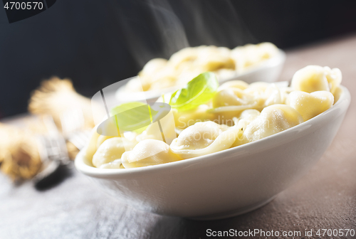 Image of The Russian Pelmeni