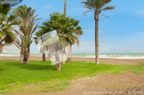 Image of Beautiful landscape on the beach