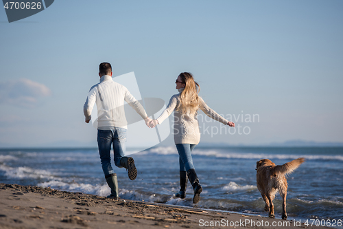 Image of couple with dog having fun on beach on autmun day