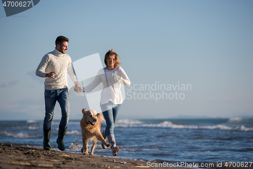 Image of couple with dog having fun on beach on autmun day