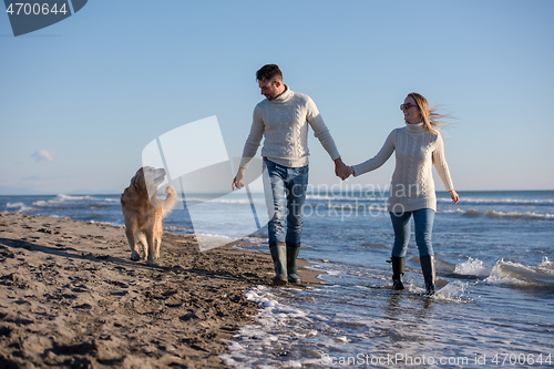 Image of couple with dog having fun on beach on autmun day