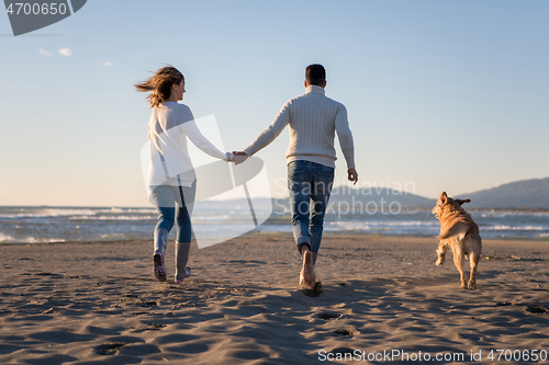 Image of couple with dog having fun on beach on autmun day