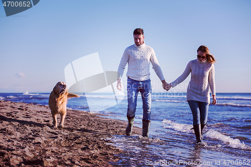 Image of couple with dog having fun on beach on autmun day