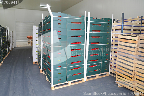 Image of Pallets with Boxes