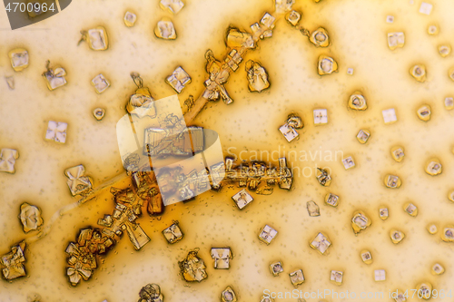 Image of microcrystals in dried dyestuff