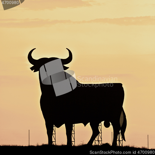 Image of Spain,silhouette of a bull in the field in Andalucia