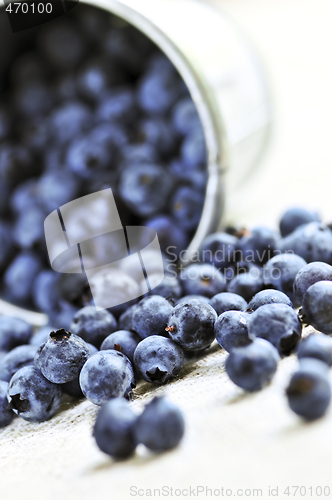 Image of Blueberries