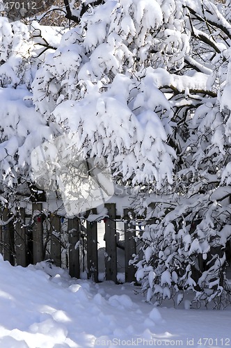 Image of House fence in winter