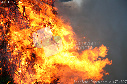 Image of Detail of flames in an outdoor fire in Denmark