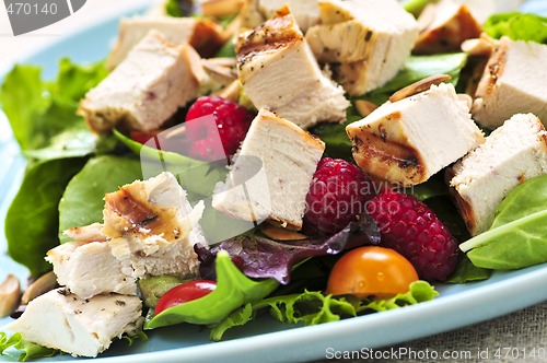 Image of Green salad with grilled chicken