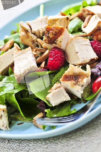 Image of Green salad with grilled chicken