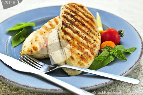 Image of Grilled chicken breasts