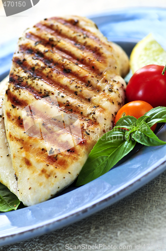 Image of Grilled chicken breasts