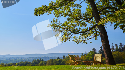 Image of Relax with wooden chair and table. Enjoy the view of garden forest