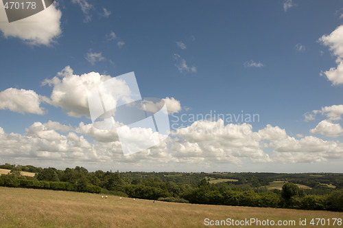 Image of Farmland