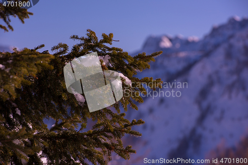 Image of winter sunrise