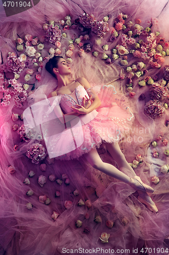 Image of Young woman in pink ballet tutu surrounded by flowers