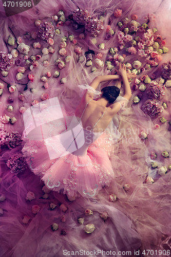 Image of Young woman in pink ballet tutu surrounded by flowers