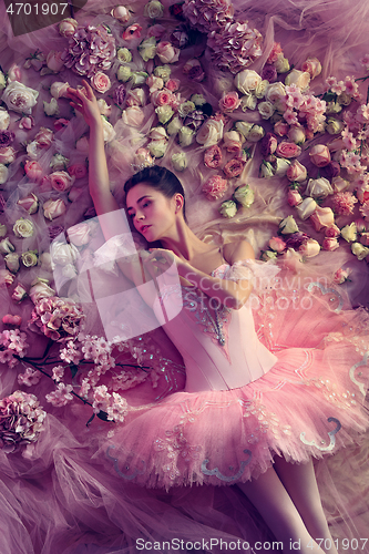 Image of Young woman in pink ballet tutu surrounded by flowers