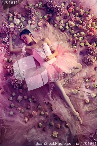 Image of Young woman in pink ballet tutu surrounded by flowers