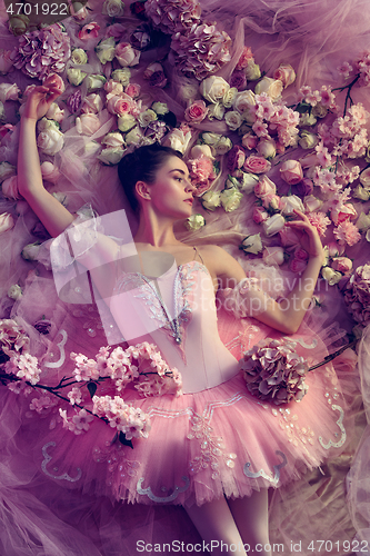 Image of Young woman in pink ballet tutu surrounded by flowers