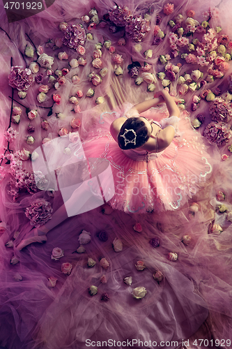 Image of Young woman in pink ballet tutu surrounded by flowers