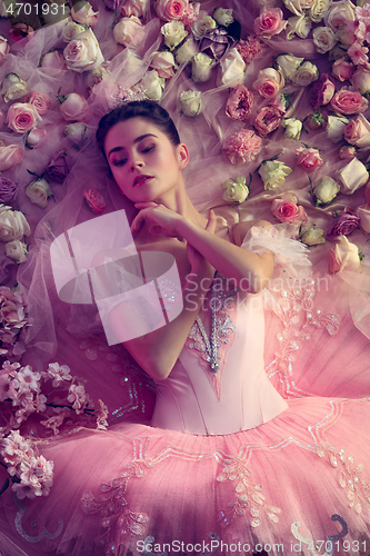 Image of Young woman in pink ballet tutu surrounded by flowers