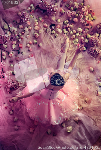 Image of Young woman in pink ballet tutu surrounded by flowers