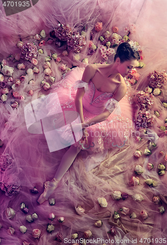 Image of Young woman in pink ballet tutu surrounded by flowers