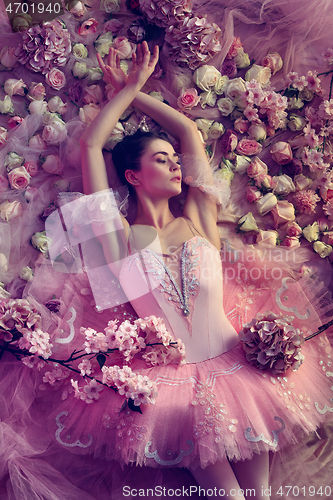 Image of Young woman in pink ballet tutu surrounded by flowers