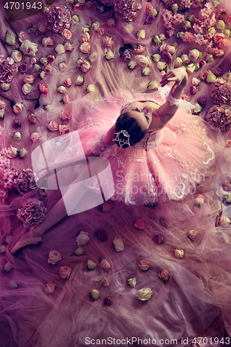 Image of Young woman in pink ballet tutu surrounded by flowers