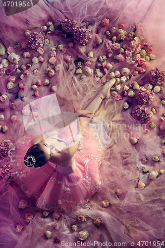 Image of Young woman in pink ballet tutu surrounded by flowers