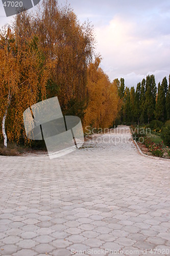 Image of Autumn alley