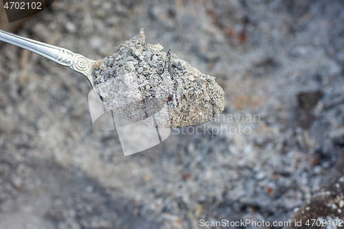 Image of The spoon is filled with fresh ash after burning branches and grass in the garden