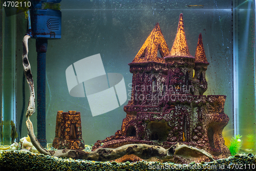 Image of Empty aquarium without plants, affected by black algae and plaque on the scenery