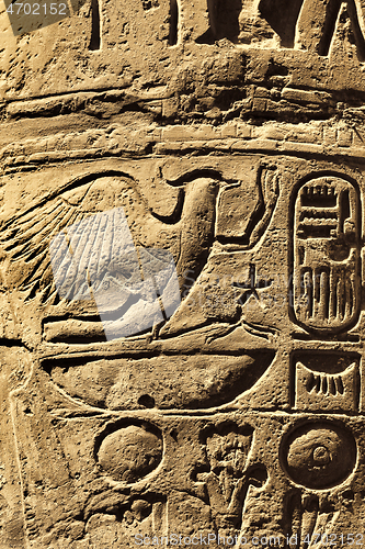 Image of Ancient egyptian hieroglyphs in the Karnak Temple in Luxor