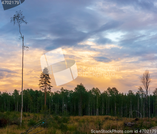 Image of 